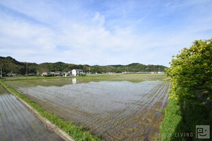 ピース・スクエア羽ノ浦Ⅱ　A棟の物件内観写真